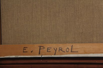 null Eric PEYROL (XXème siècle)

Le marécage

Huile sur toile signée en bas à gauche

74...