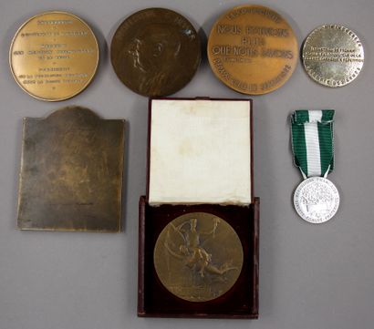 null Lot of medals in bronze and various concerning doctors... and an empty case...