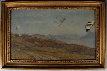 null Charles François VUILLERMET (1849-1918)

Paysage

Huile sur toile signée en...