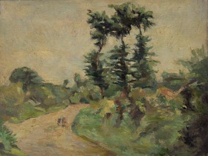 null Adolphe Félix BROËT (1873-1942) and others

Landscape

Four oil on canvas

23...