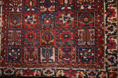 null Wool carpet with five rows of square medallions

252 x 148 cm.
