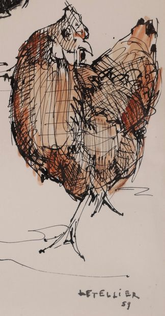 null Pierre LETELLIER (1928-2000)

Les poules

Encre noire et aquarelle signée en...