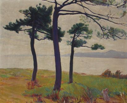 null *Henri PACQUET (XXème s.)

Les pins - Le Lavandou

Huile sur toile signée en...