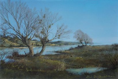 DRACHKOVITCH Thomas Albert (né en 1928) Arbres au bord d'un étang Huile sur Isorel...