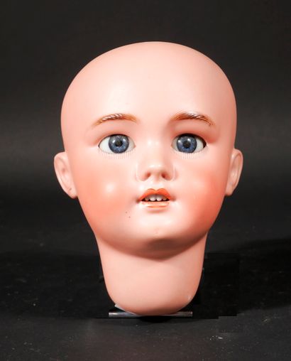 null *DEP

Tête de poupée en porcelaine, yeux fixes, taille 12

H : 17 cm.