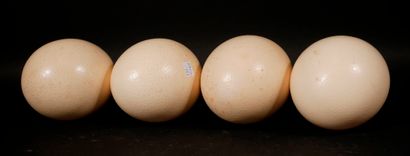 null Four ostrich eggs