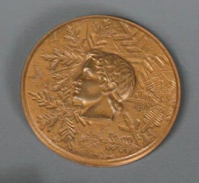Grenoble,1968 Médaille officielle des participants. Bronze. Graveur J.H Coeffin....