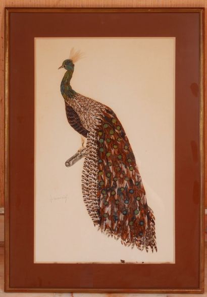 null Six paintings decorated with birds, flowers and butterfly wings, signed (accidents)

89...