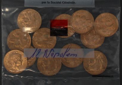 null *Douze pièces de 20 FF en or dans un sachet plastique scellé
