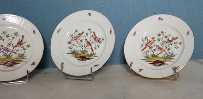 null Quatre assiettes en porcelaine blanche à décor polychrome d'oiseaux, marquées

D...