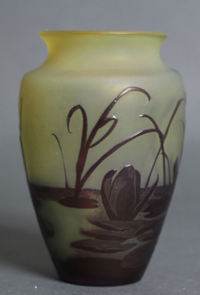 null GALLE dans le goût de

Vase balustre en verre gravé de fleurs lacustres marron...