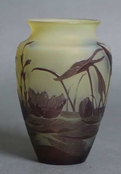 null GALLE dans le goût de

Vase balustre en verre gravé de fleurs lacustres marron...