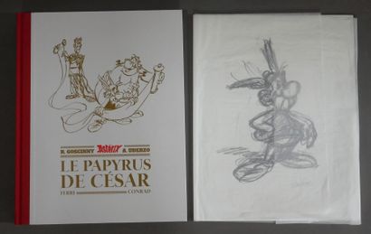 null CONRAD, D. - FERRI, J-Y.

Astérix - Le Papyrus de César - 36m - Album TL Grand...