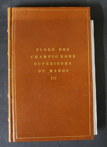 null Abbé N. L. MICHOT. Flore du Hainaut. XXXII (cryptogames p. 309 à 408) Mons,...