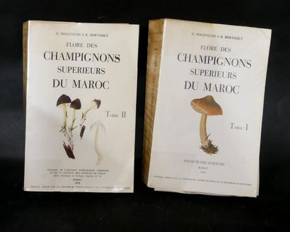 null G. MALENÇON BERTAULT. 

Flore des champignons supérieurs du Maroc. Rabat, 1970....