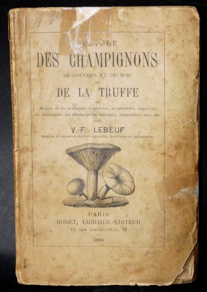 null LA TRUFFE.

V. F. LEBEUF. Culture des champignons… et de la truffe. Roret, 1889....