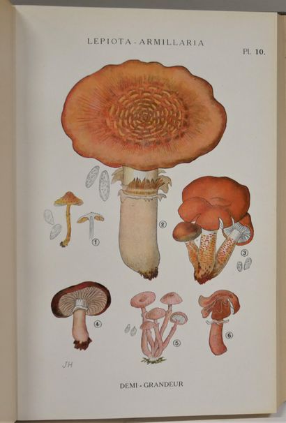 null JUILLARD-HARTMANN. Iconography of the superior mushrooms. Juillard et fils,...