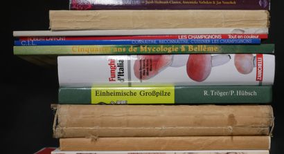 null Lot de livres sur la mycologie
