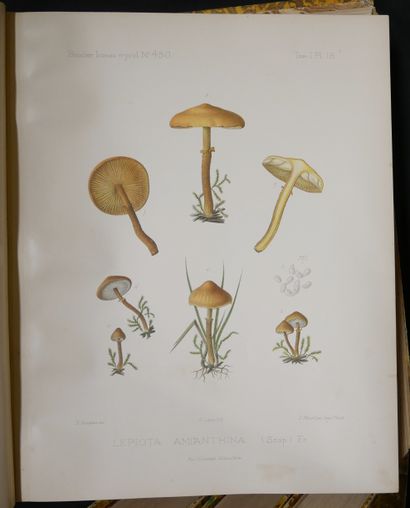 null Émile BOUDIER.

Iconographie des champignons. 4 vol dont 3 de planches couleurs...