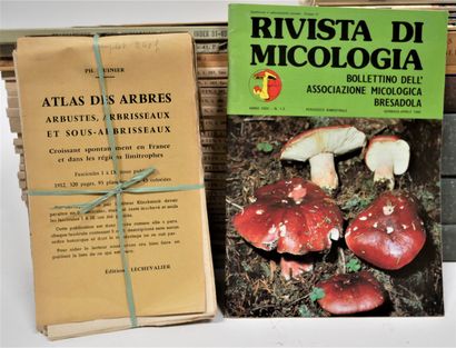 null A. DUPUIS. Traité élémentaire des champignons. Pl. couleurs. Auguste Goin, 1854....