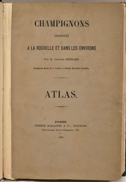 null Georges BERNARD 

Mushrooms observed in La Rochelle and its surroundings. 300...