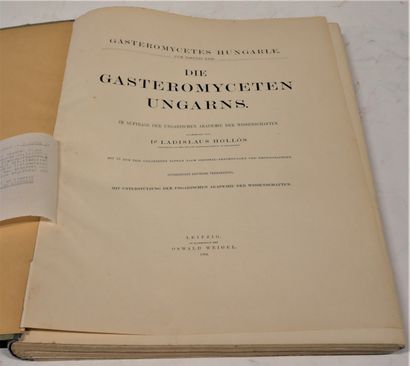 null Ladislaus HOLLOS. 

Die gasteromyceten ungaris. Oswald Weigel, 1904. In fol...