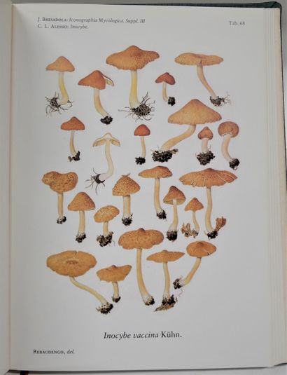 null Giacomo BRESADOLA. 

Fungi tridentini novi vel nondum delineati descripti et...