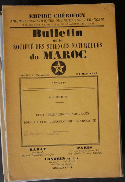 null Georges MALENÇON. 

- European truffles. History, morphogenesis, organography,...