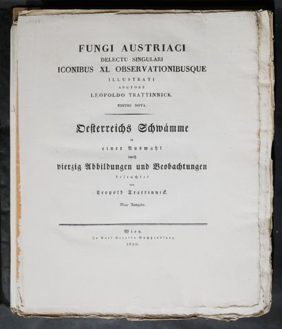 null Leopold TRATTINICK. 

Fungi Austriaci delectu singulari iconibus XL observationibusque...