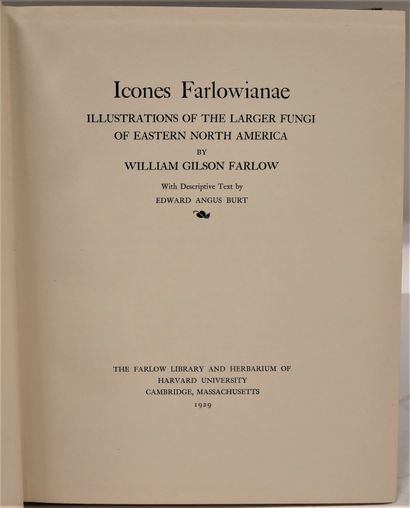 null W. G. FARLOW W. G. BURT. Icones farlowiana. Illustration of the larger fungi...