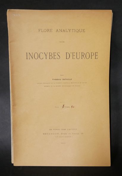 null Frédéric BATAILLE. Flore analytique et descriptive des tubéroïdées de l’Europe...