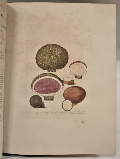 null James BOLTON.

An history of fungusses growing about Halifax. . 4 vols. : vol....