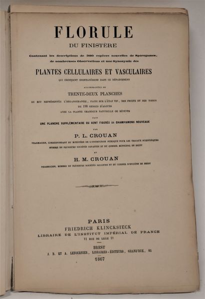 null P. L. CROUAN H. M. 

Florule du Finistère. 32 pl. n. éd. Fr. Klincksieck, 1...