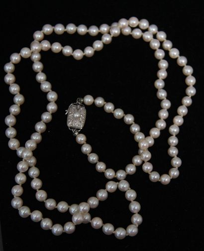 null *Collier de perles de culture choker, fermoir en métal, L : 76 cm.
