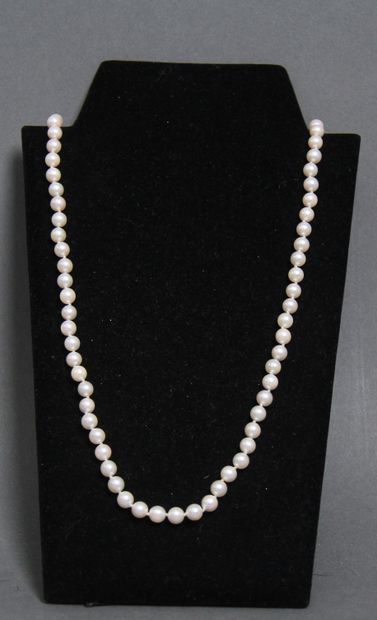 null *Choker cultured pearl necklace, metal clasp, L: 76 cm.