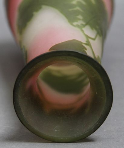 null French work

Conical vase with flared neck. Proof in green lined glass on a...