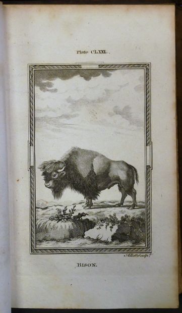 null BUFFON

- Natural History translated into English by W. SMELLIE, 3rd ed., 9...
