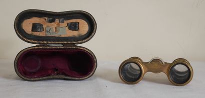 null Metal and mother-of-pearl plates theater binoculars (worn)