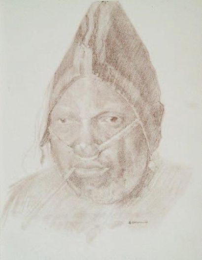 AFRIQUE HERVIAULT (André) Préface de PETRE Léon: Congo - Gabon - Cameroun - Dahomey...