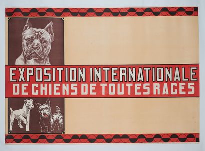 null D. NOIR. 
EXPOSITION INTERNATIONAL DE CHIENS DE TOUTES RACES. 
Affiche belge...