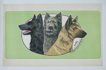 null D. BLACK. 
Three dogs. 
Belgian lithographed poster in colors, not titled, pasted...
