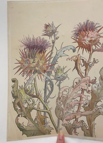 null Henri PRIVAT-LIVEMONT (1861-1936).
Thistles. 
Lithographed cardboard colors,...