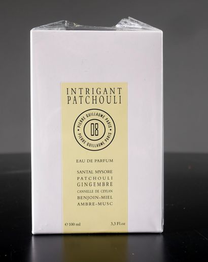 null *Pierre GUILLAUME Paris

Eau de parfum Intriguant Patchouli, 100 ml, dans sa...