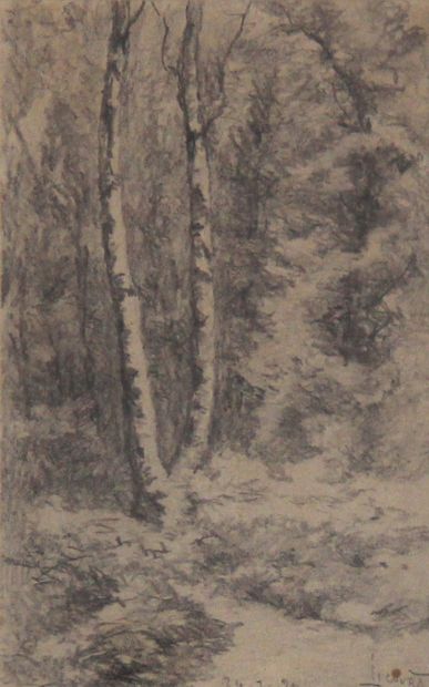 null Paul LICOURT (XIXth c.)
- Verdun, the poplars of the pre l'Eveque, 29.7.31
-...