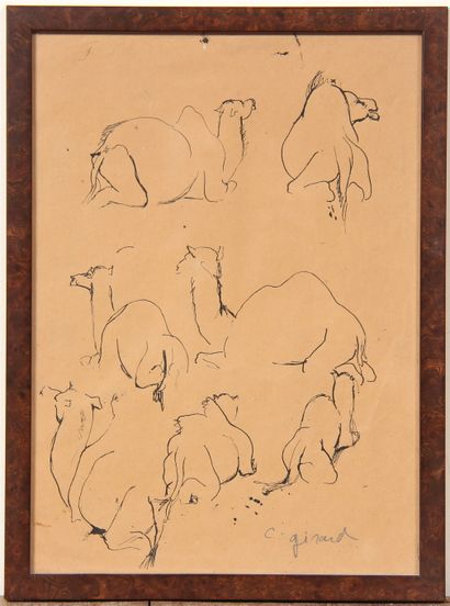 null C. GIRARD
Study of dromedaries
Black ink signed at the bottom right in graphite
32...