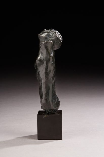null Auguste Rodin (Paris, 1840-1917, Meudon)
Centauresse
Bronze à patine noire nuancée...