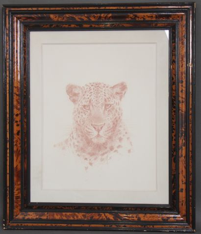 null Ecole contemporaine
Tête de léopard
Sanguine monogrammée
54 x 43 cm. à vue