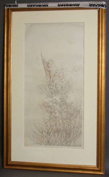 null Roland CAT (1942-2016)
High branches
Engraving signed, titled and dated 91 in...