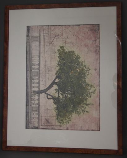 null David SMITH-HARRISON (1959-)
Lemon tree
Etching titled numbered 71/135 lower...