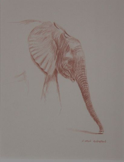null Simon GUDGEON (1958-)
Etude de tête d'éléphant de profil
Sanguine signée en...